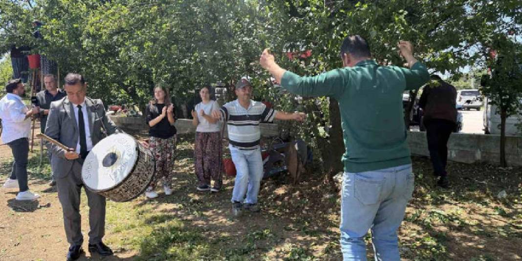 İlk hasat davul zurna ile yapıldı! Kilosu 120 TL’den satışa çıkacak 2